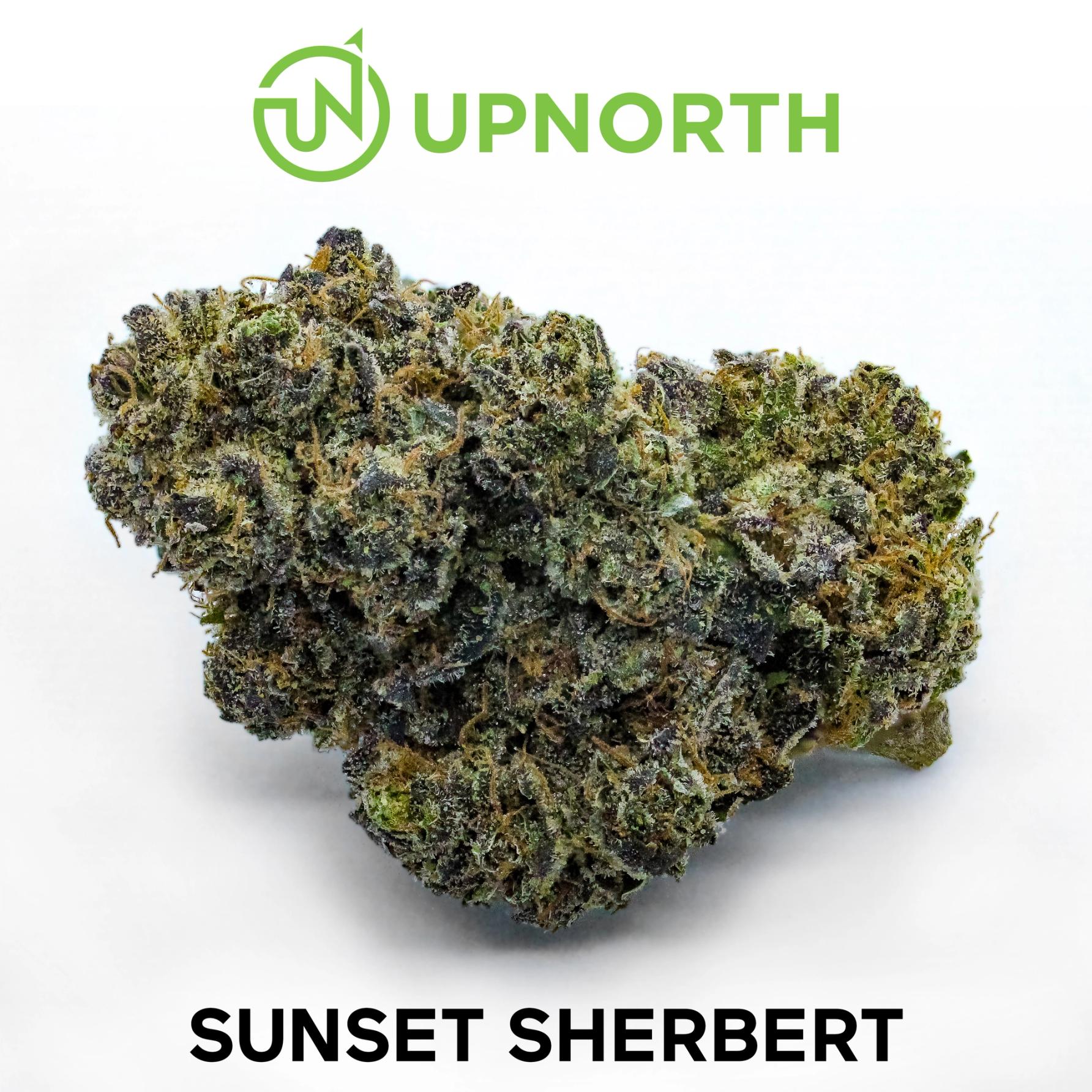 Sunset Sherbert Cannabis Strain WhiteBG 