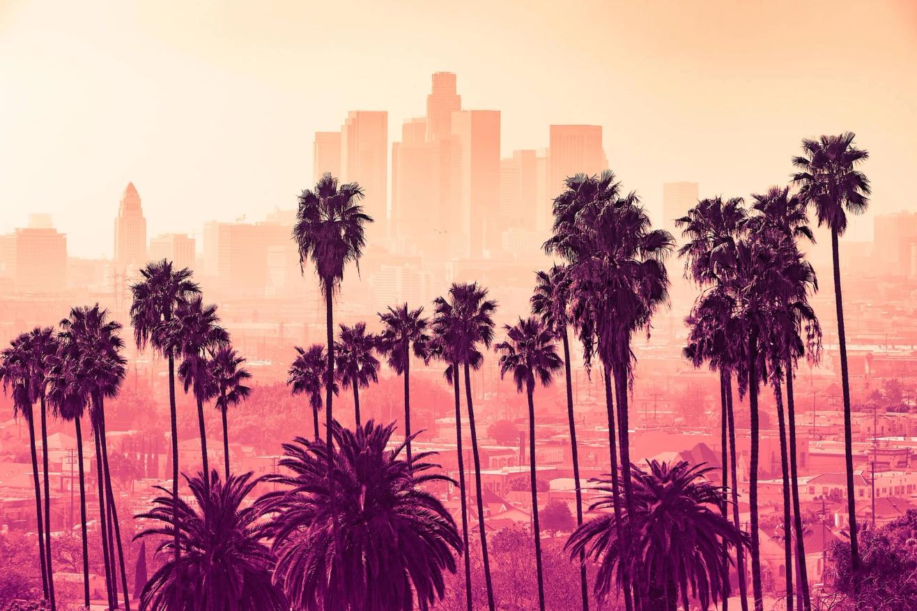 A view of the Los Angles downtown skyline through a group of palm trees