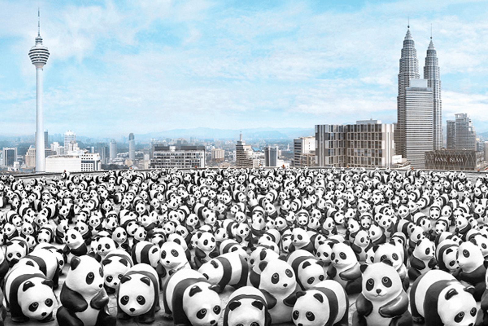 1600 Pandas Malaysia: Harmonious Conservation