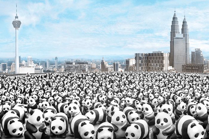1600 Pandas Malaysia: Harmonious Conservation