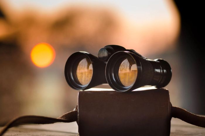 Searching For Meaning