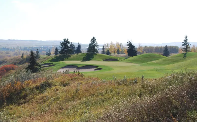 D'Arcy Ranch Golf Club - Green Renovation Projectproject image 1