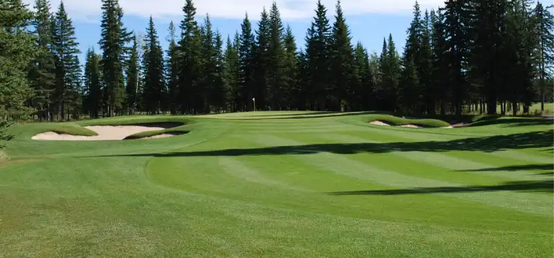 Coyote Creek Golf Resort - New Course Build