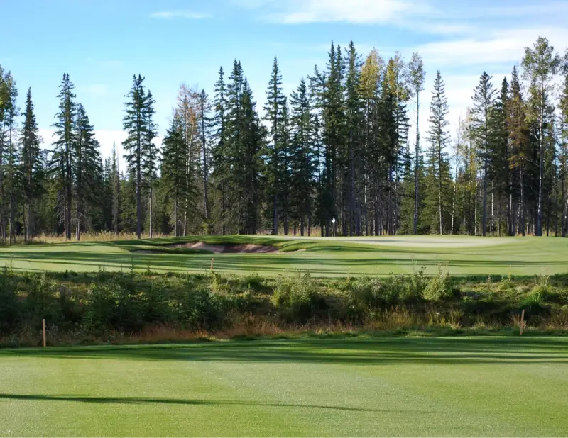 Coyote Creek Golf Resort - New Course Buildproject image 4