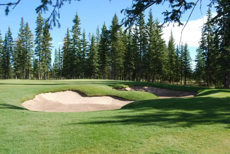 Coyote Creek Golf Resort - New Course Buildproject image 2