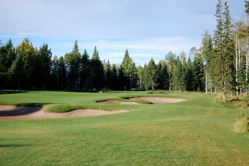 Coyote Creek Golf Resort - New Course Buildproject image 3