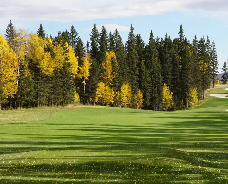 Priddis Greens Golf & Country Club Hawk Course Renovationproject image 6
