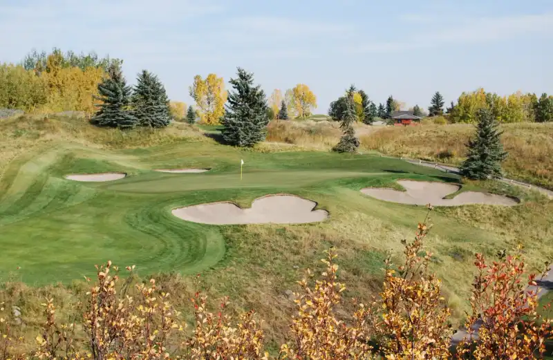 D'Arcy Ranch Golf Club - Green Renovation Project