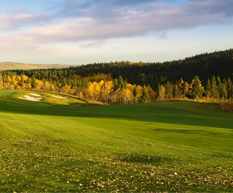 Priddis Greens Golf & Country Club Raven Course Renovationproject image 2