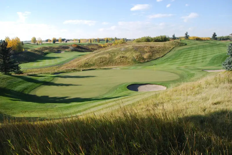 D'Arcy Ranch Golf Club - Green Renovation Projectproject image 0