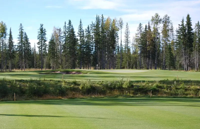 Coyote Creek Golf Resort - New Course Buildproject image 0