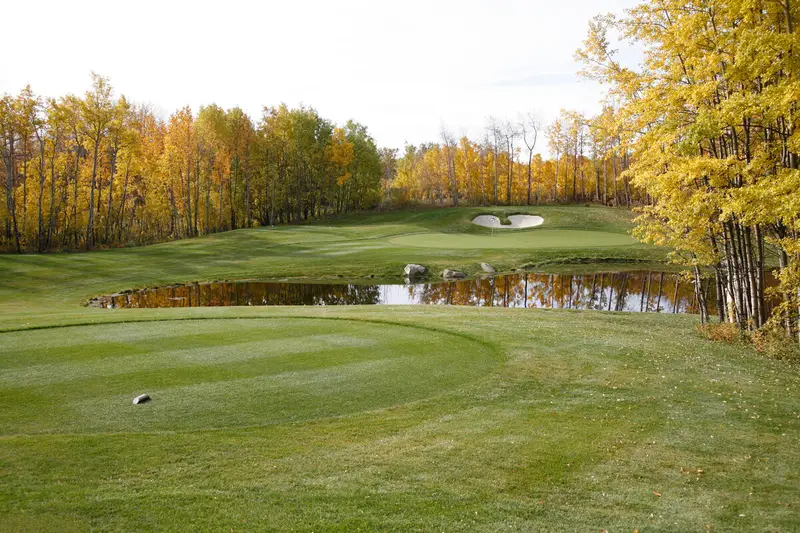 Ridge Meadows Club - New Course Buildproject image 2