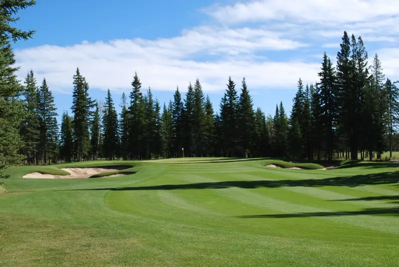 Coyote Creek Golf Resort - New Course Buildproject image 1