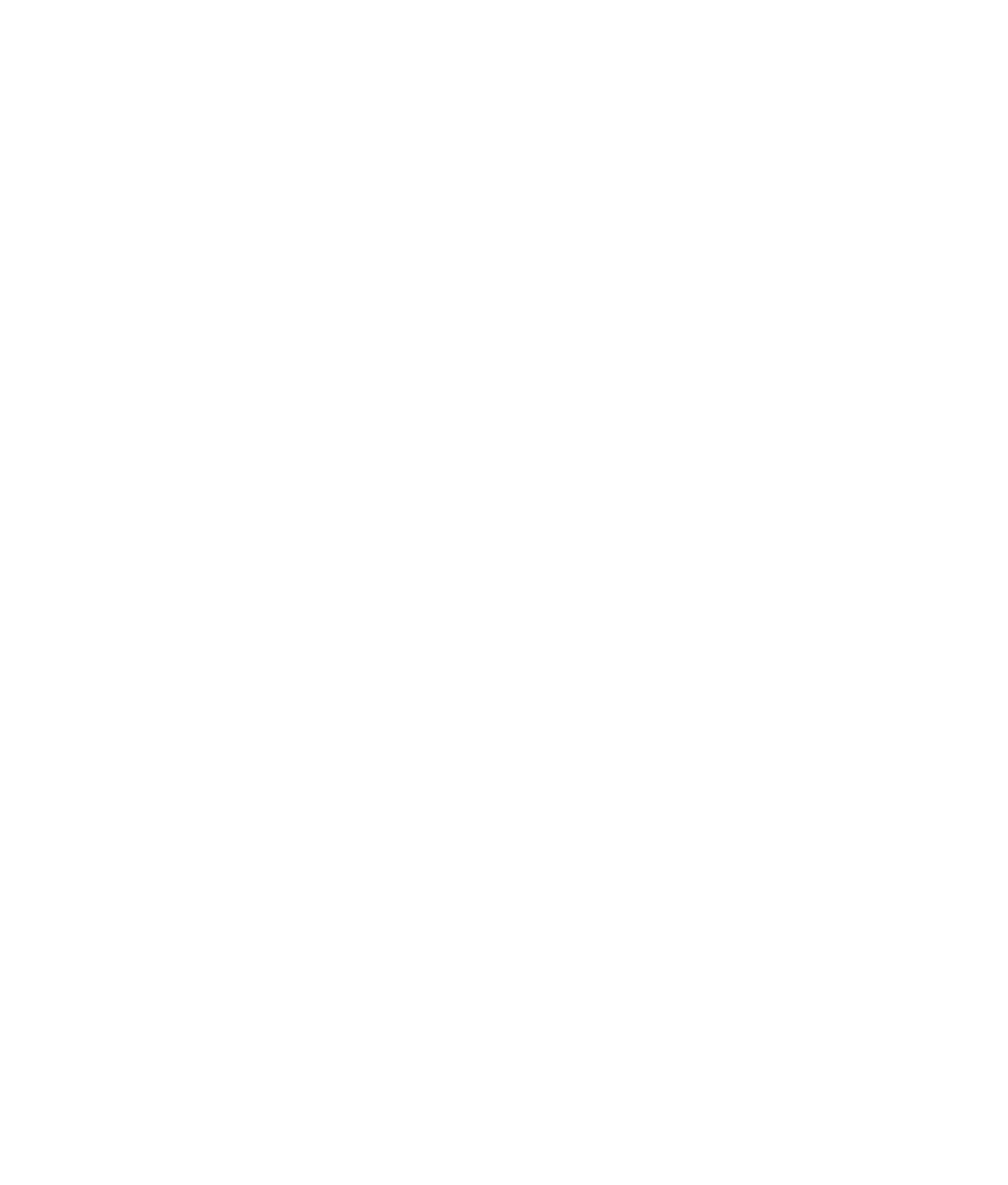 CS Universitatea ELBI Cluj