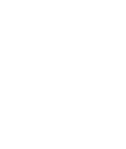 CS Universitatea ELBI Cluj
