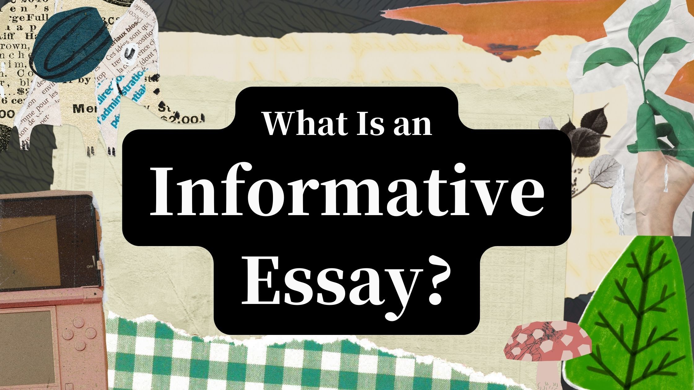 The Informative Essay: How to Educate Your Readers (Without Being Snarky or Sleazy)