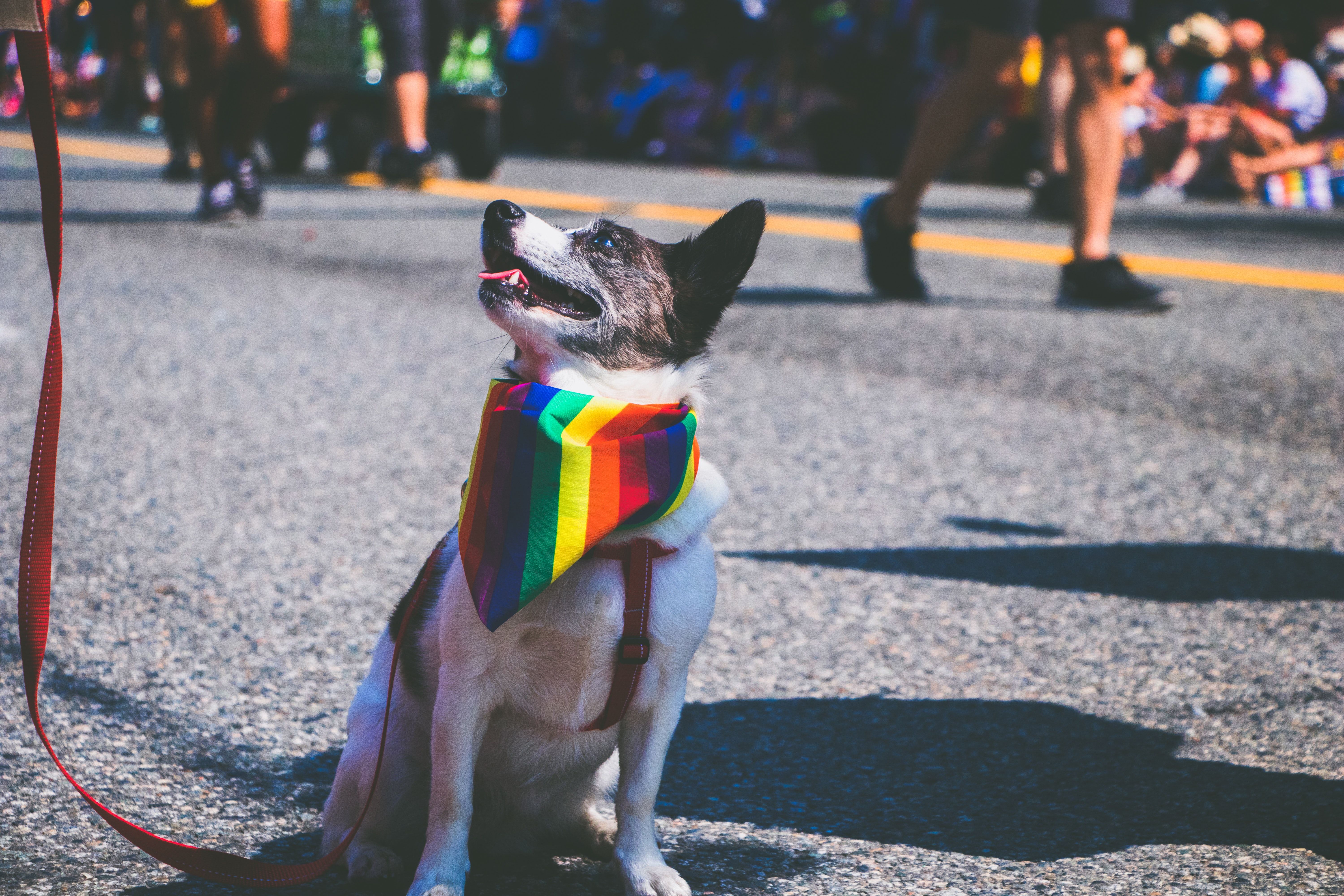 Pride Marketing: 3 LGBTQ Marketing Tips for Companies When Pride Month Ends