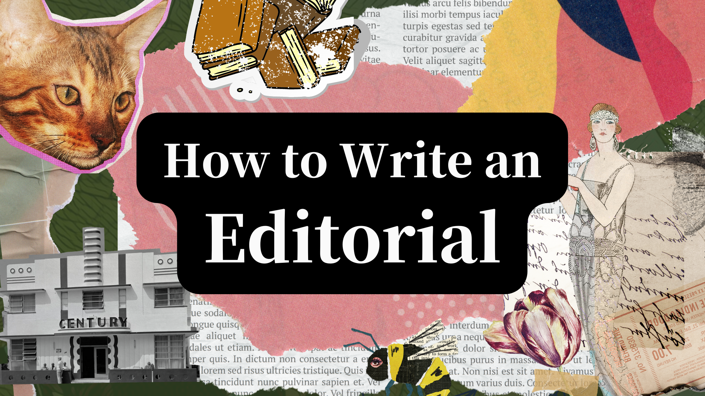 How to Write an Editorial, in 6 Steps