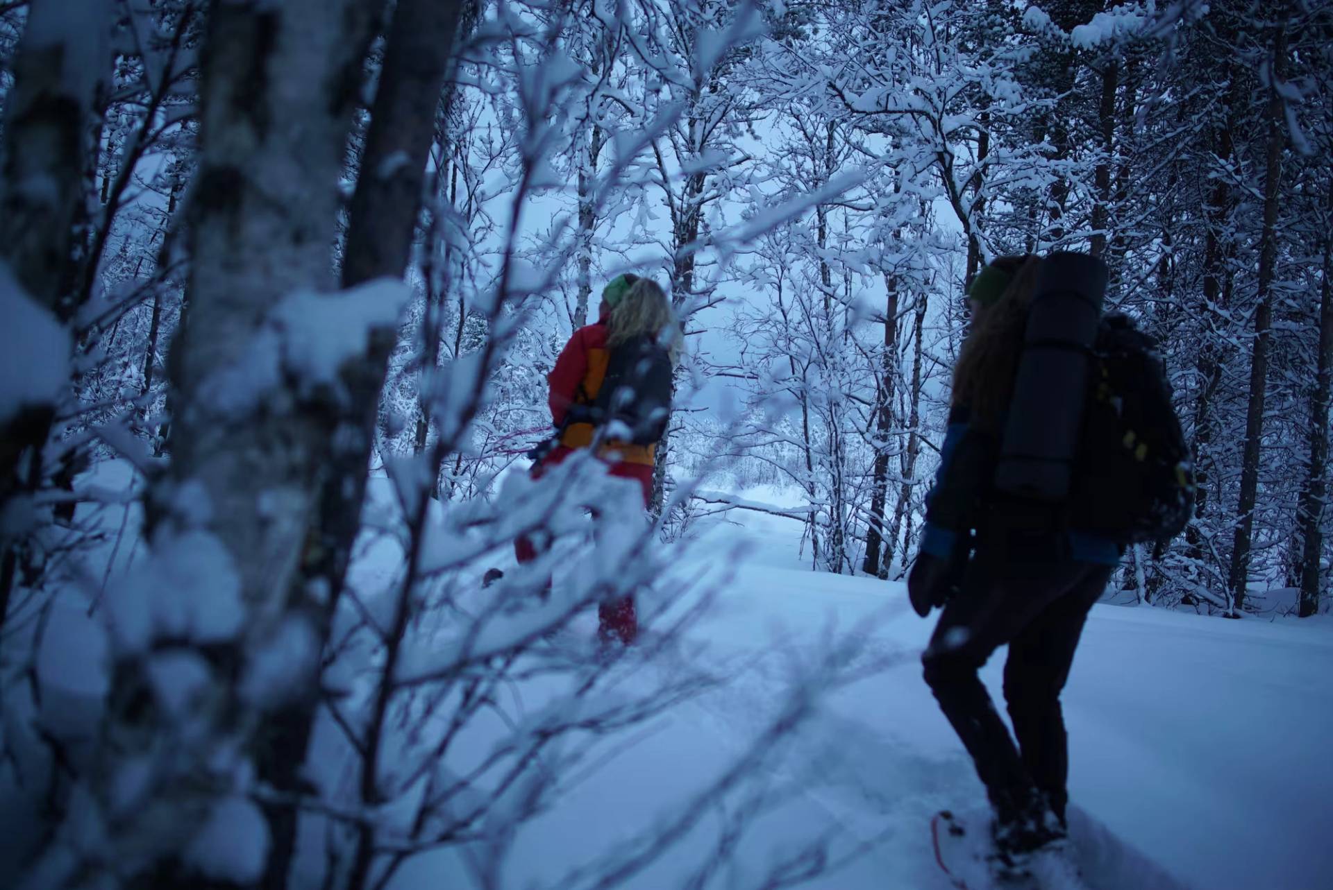 Northern Lights Snowshoe Adventure – 2