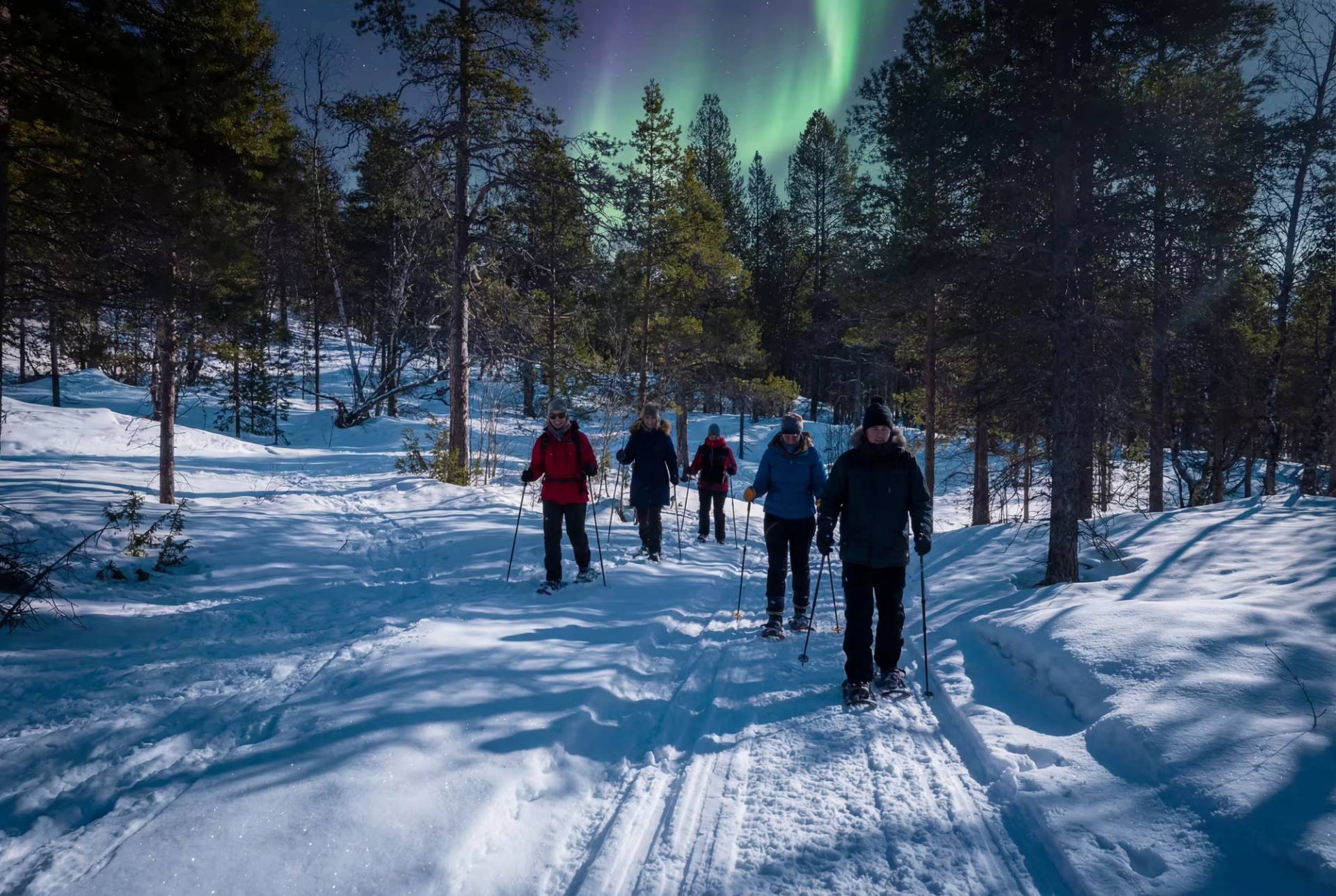 Northern Lights Snowshoe Adventure