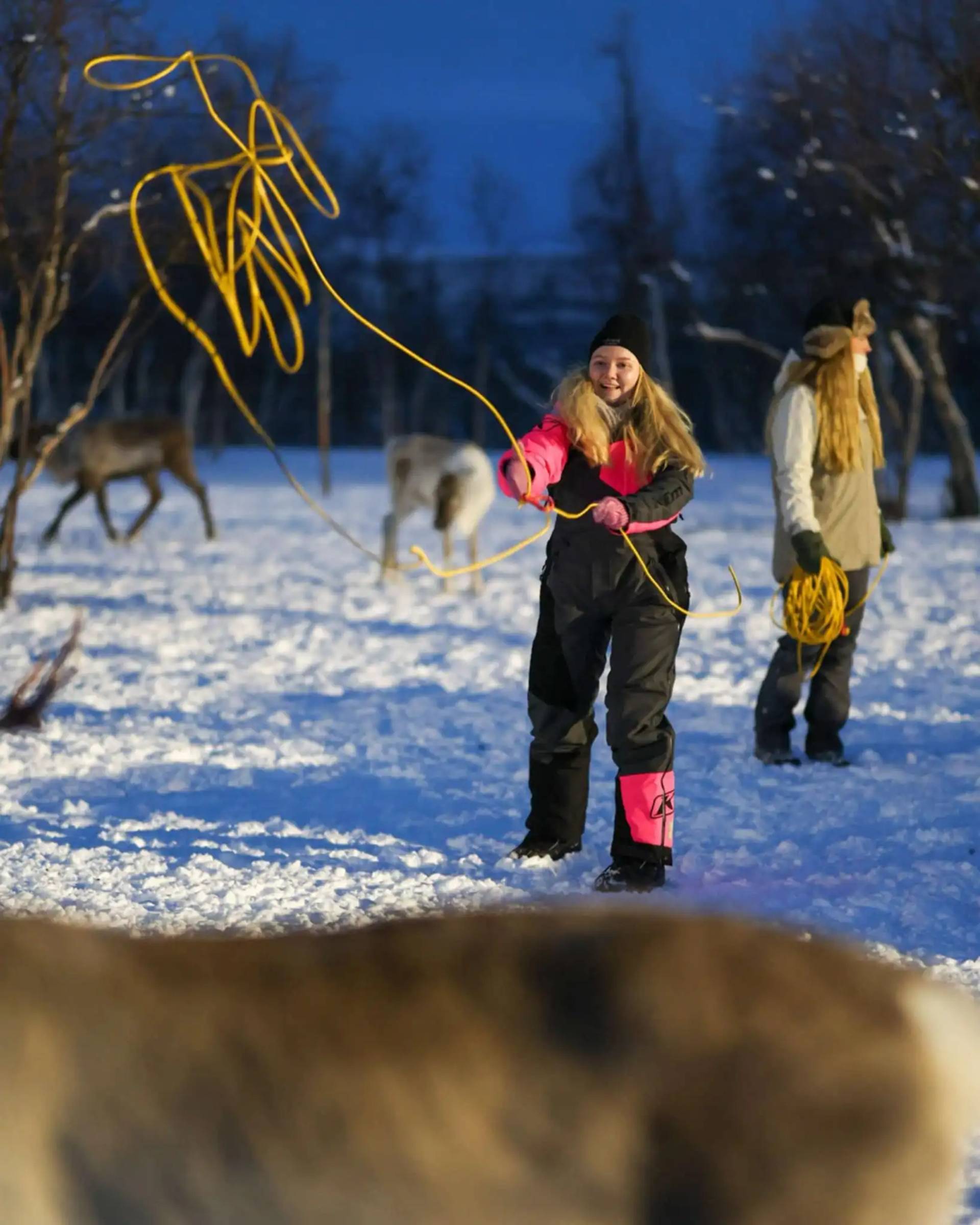 Reindeer and Snowmobile Adventure – 2
