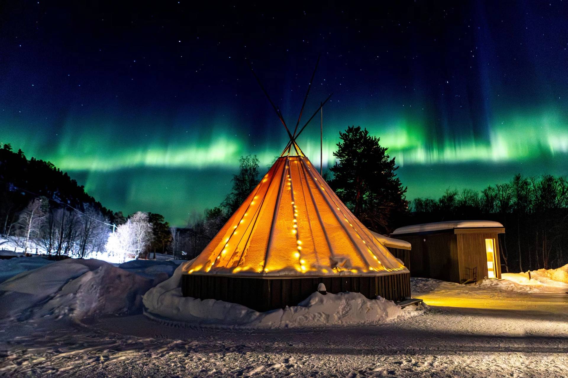 Arctic Wilderness Evening: Husky, Dinner, and the Aurora Borealis