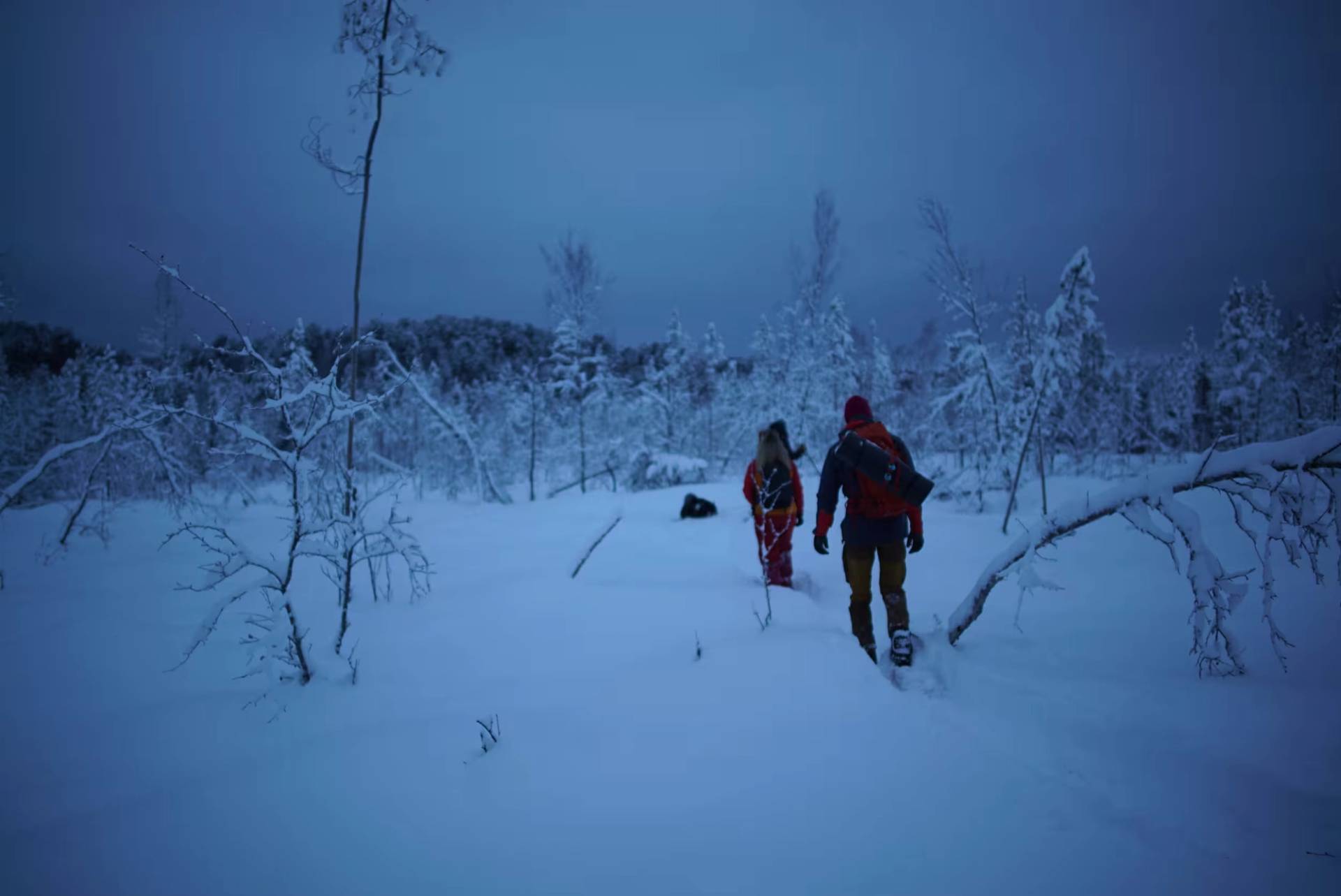 Northern Lights Snowshoe Adventure – 4