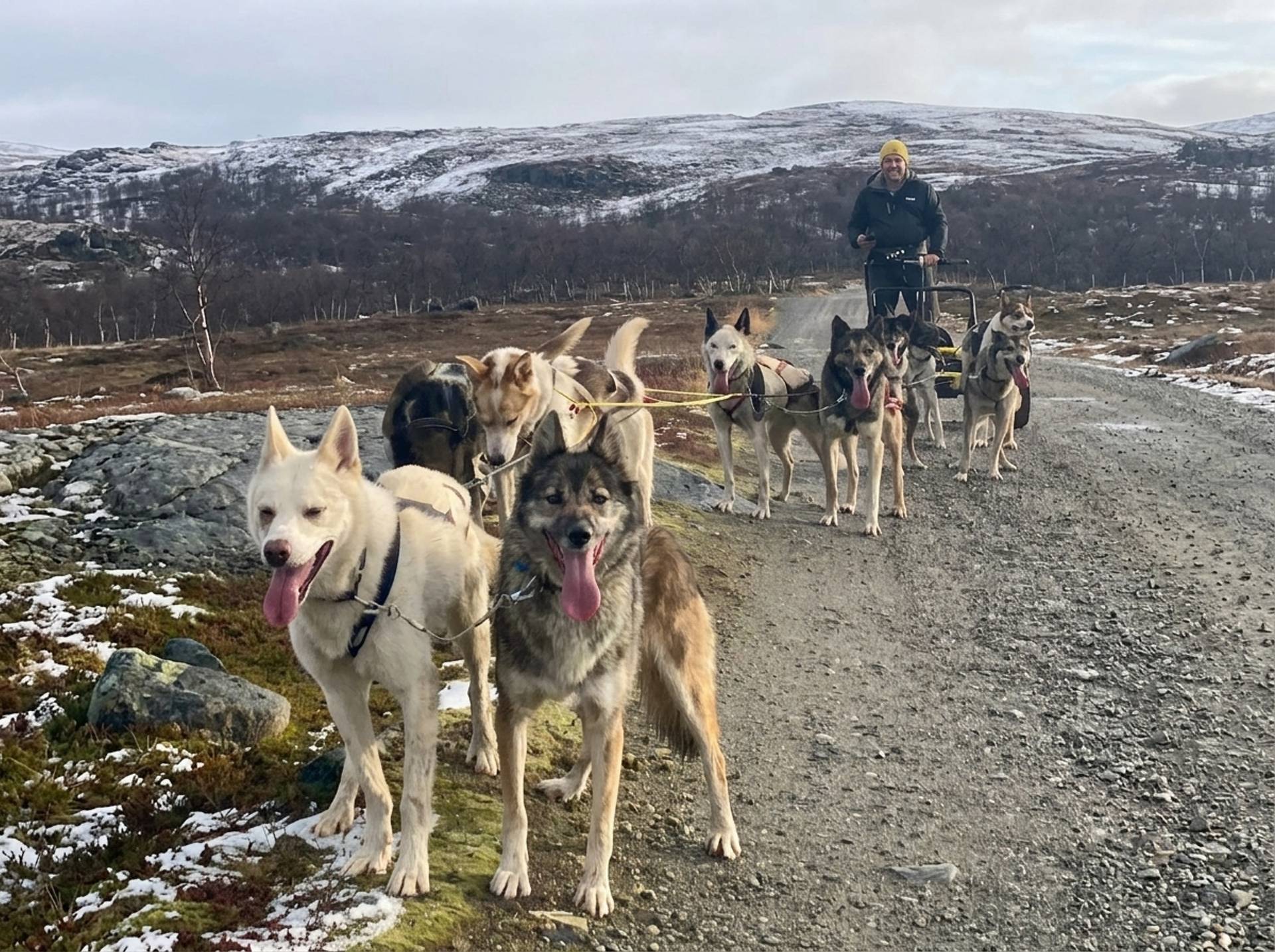 Husky Wagon Adventure  – 4