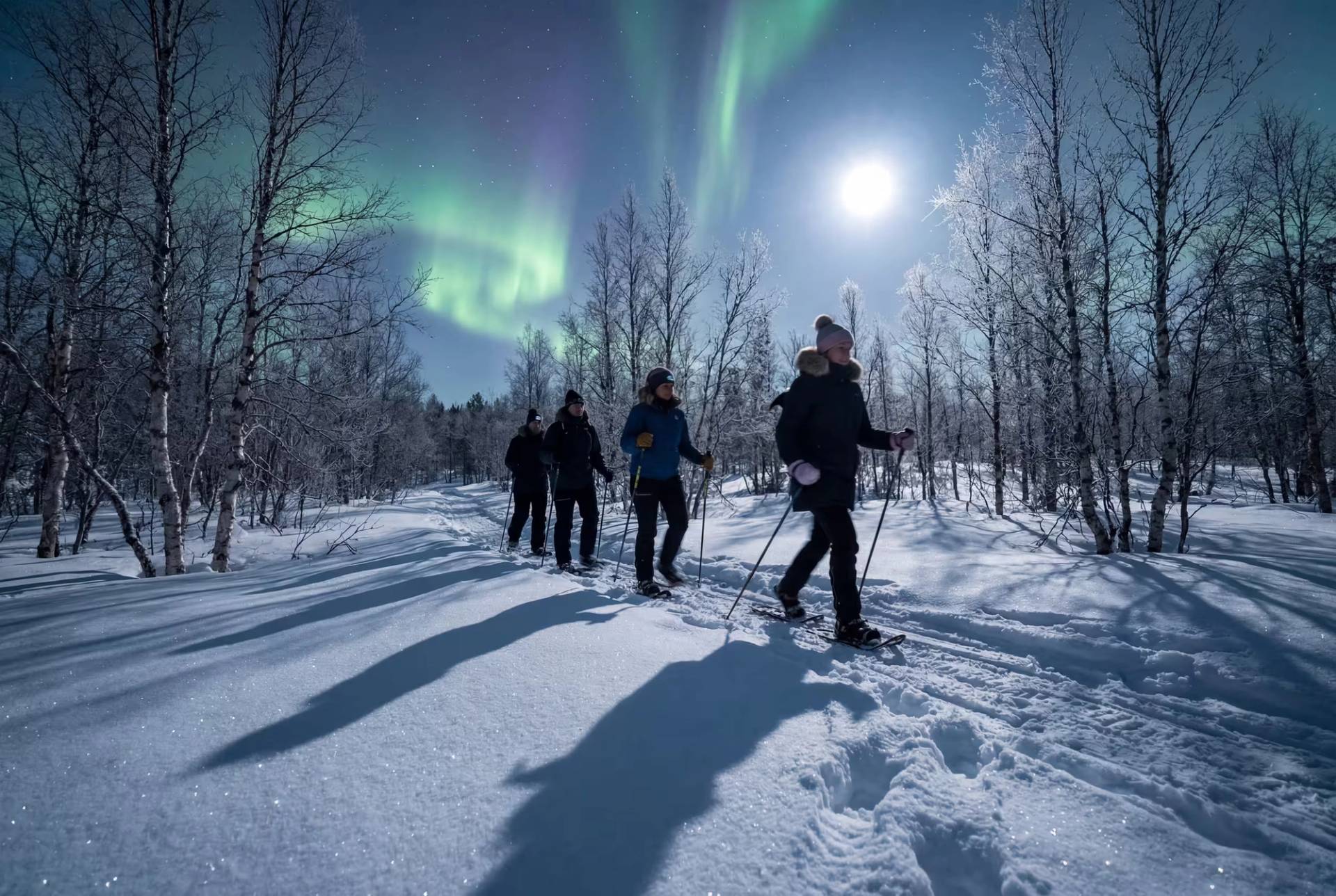 Into the forest, under the lights