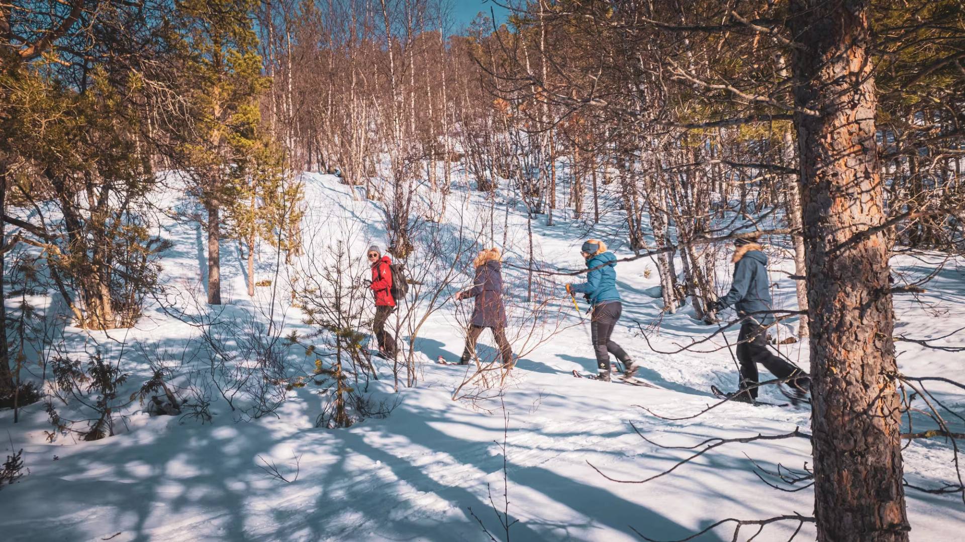 Easy Snowshoe Adventure – 3
