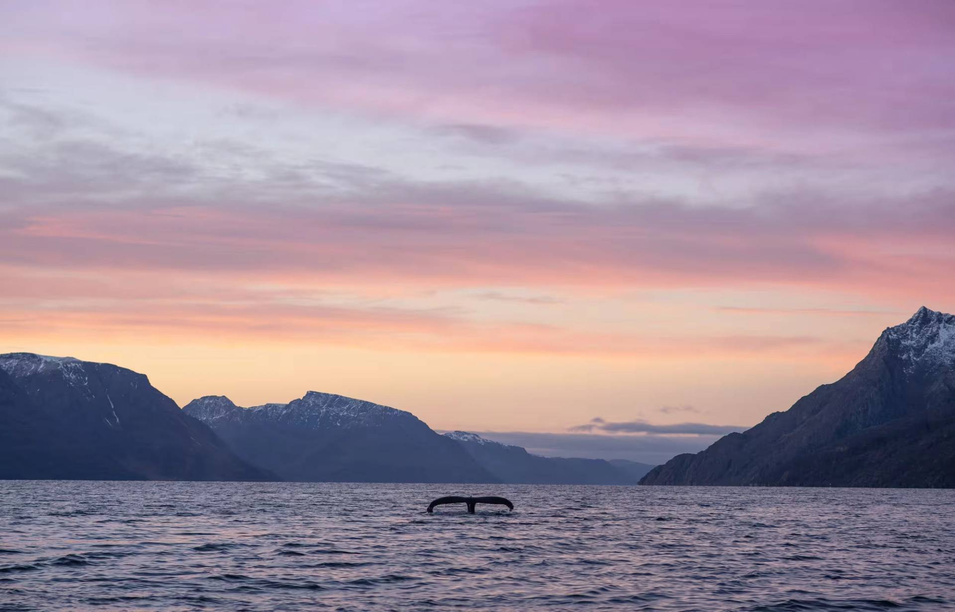 Cruise Through Pristine Fjords!