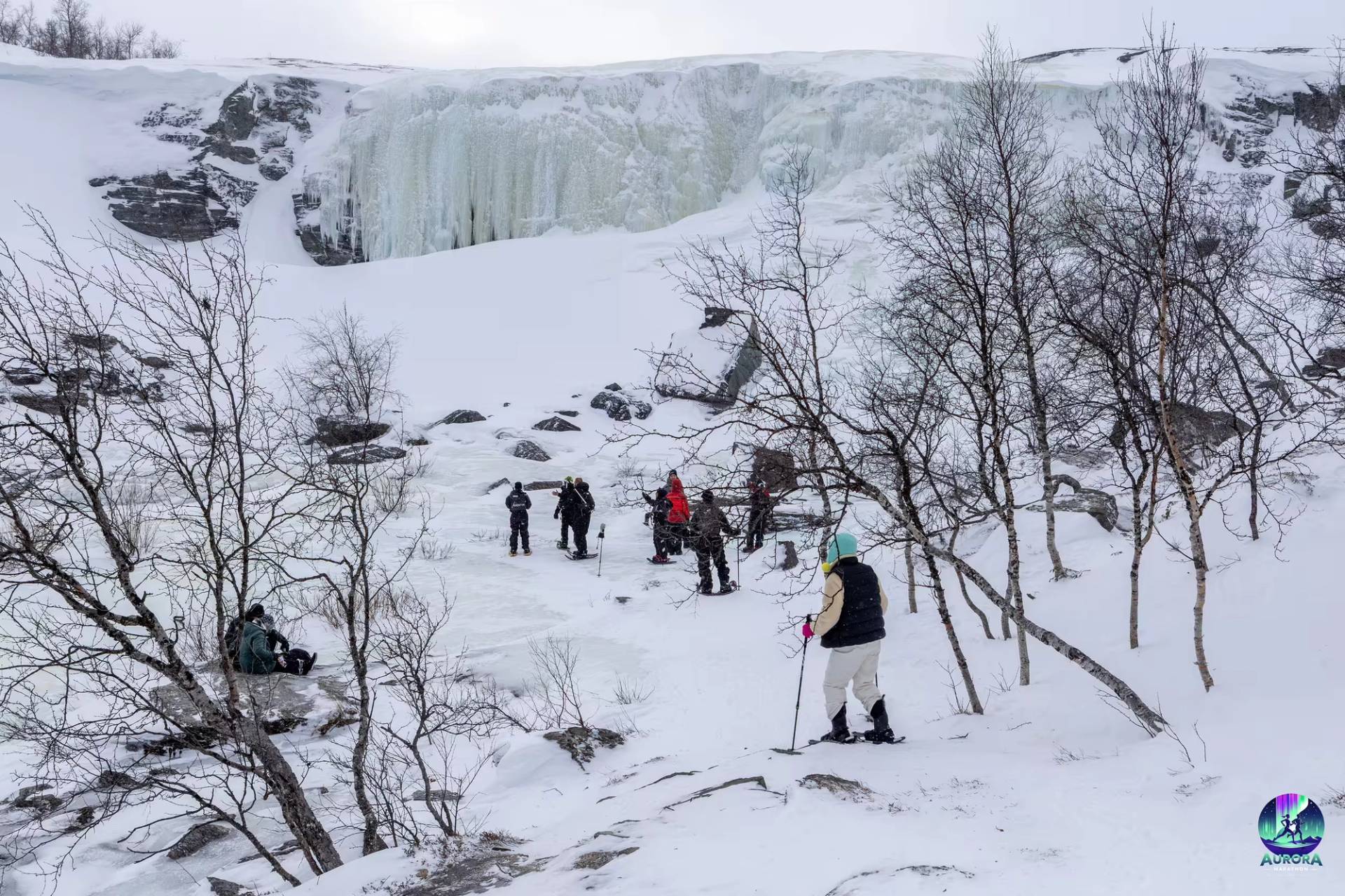 Snowshoe Adventure