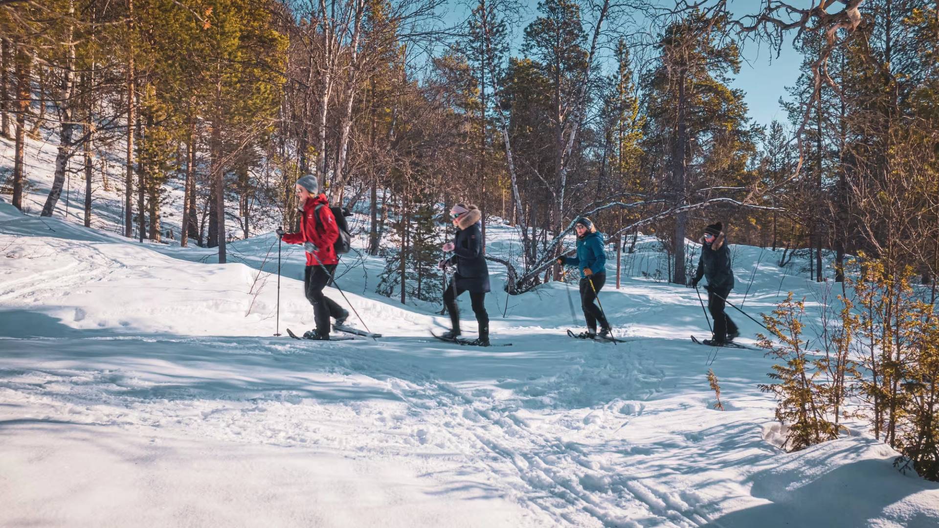 Easy Snowshoe Adventure
