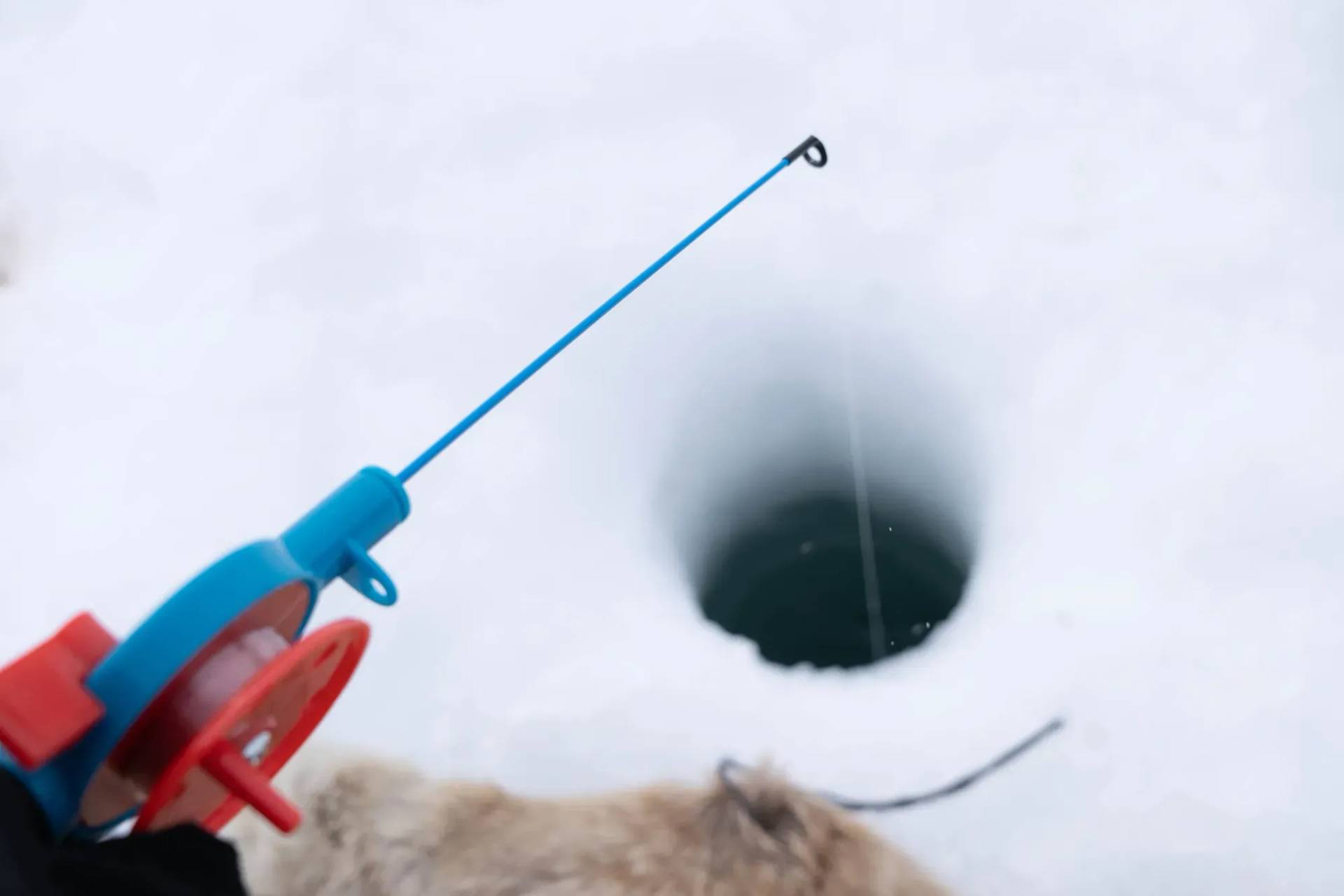 Catch Your Arctic Prize!