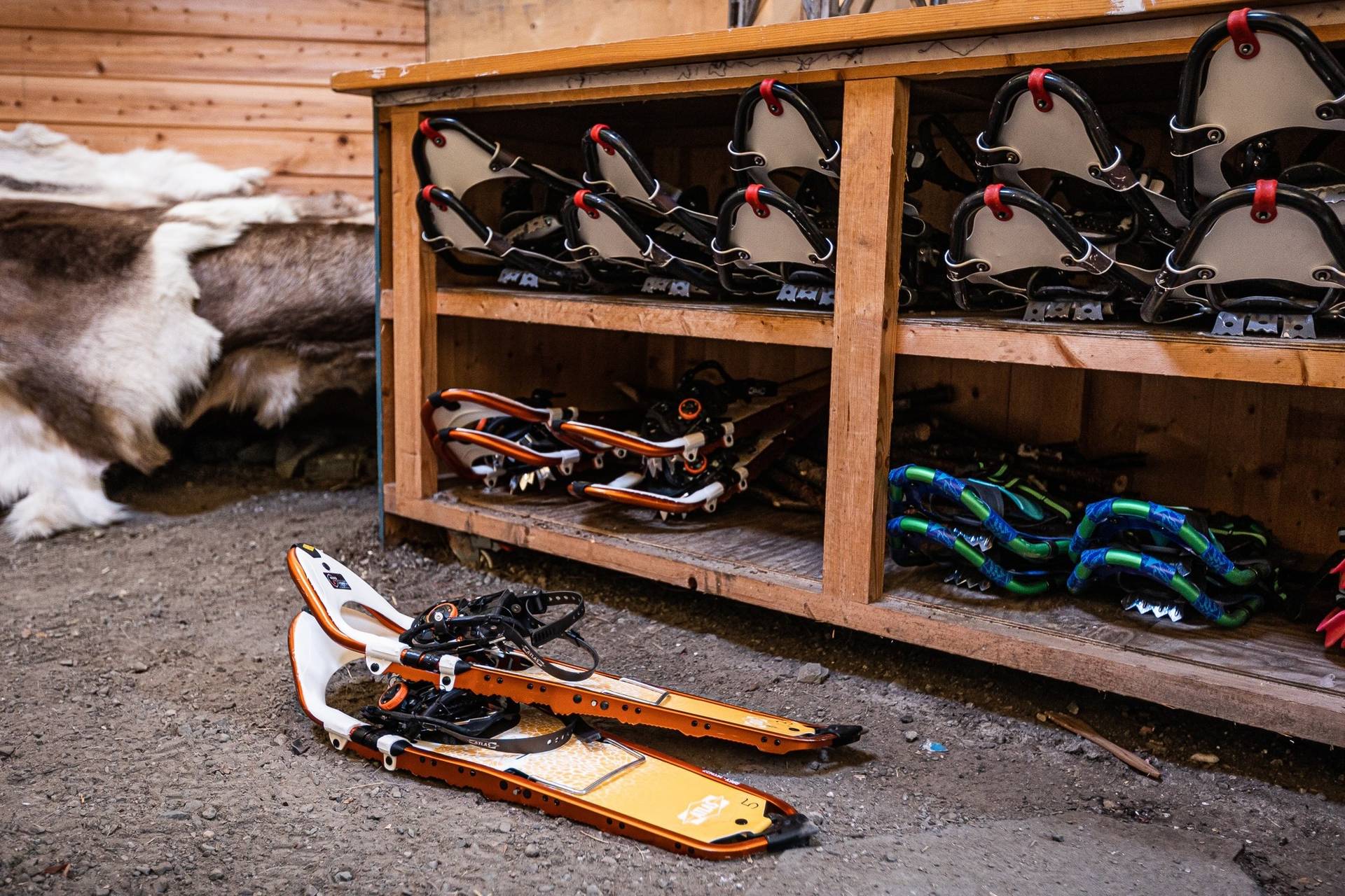Snowshoe Adventure – 4