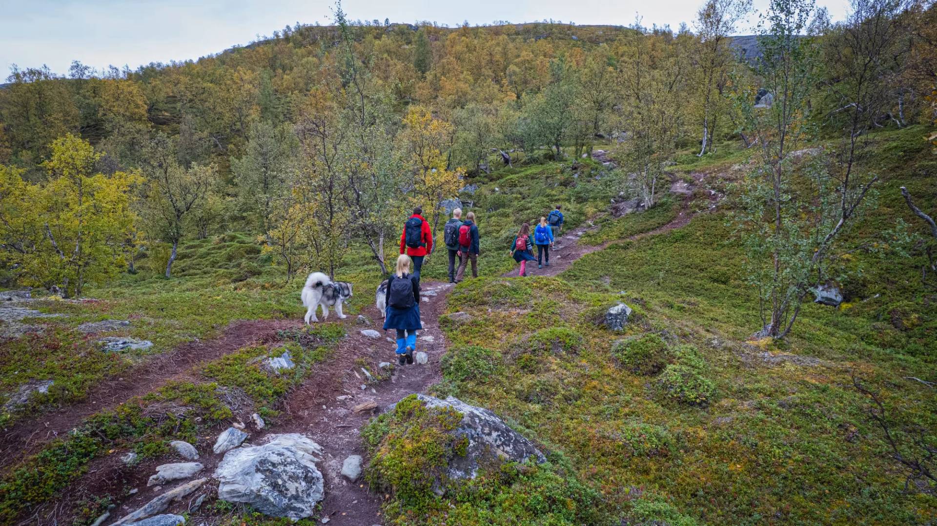 Breathe in the Crisp Forest Air!