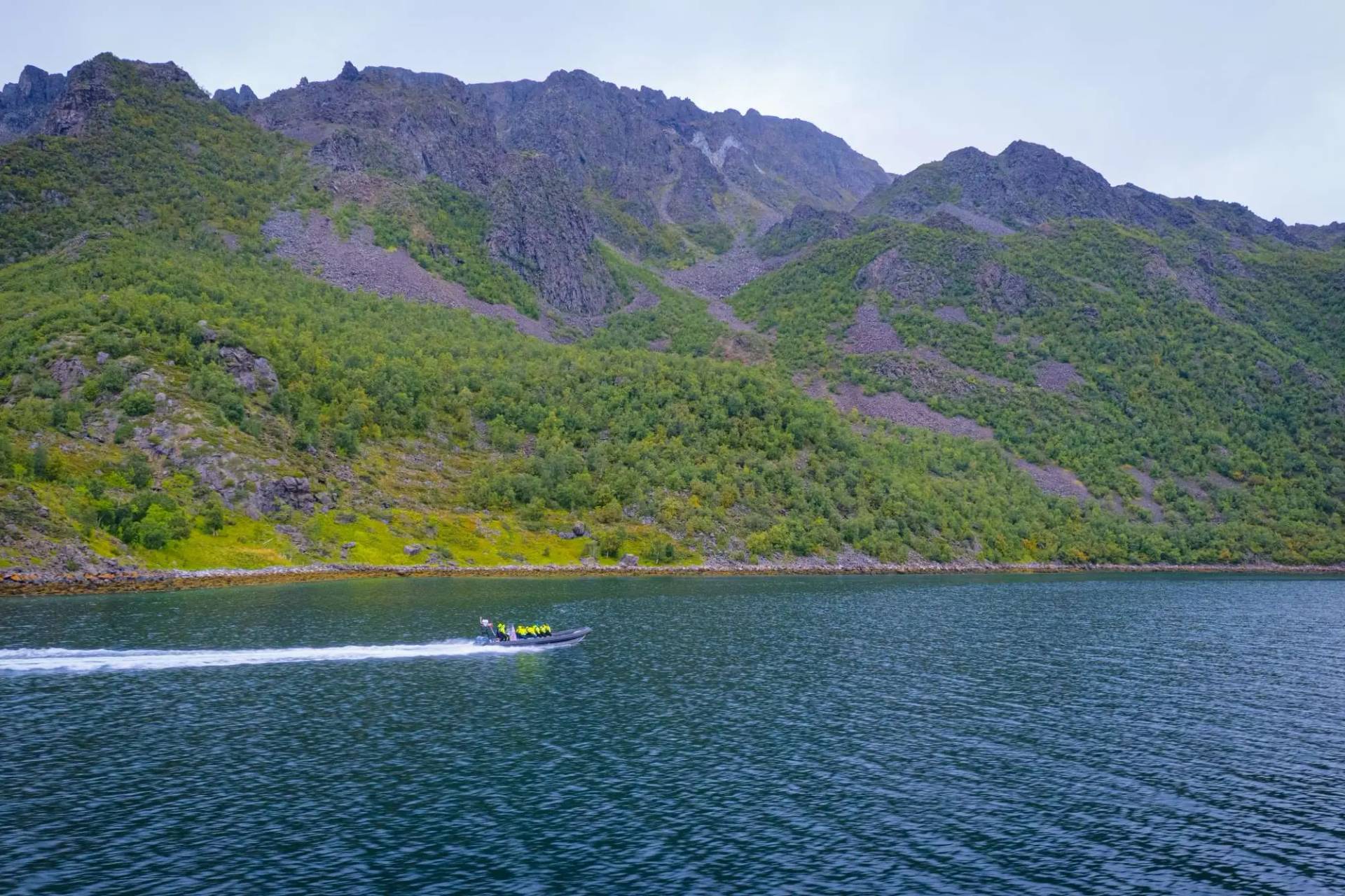 RIB Expedition: Seiland Natl Park