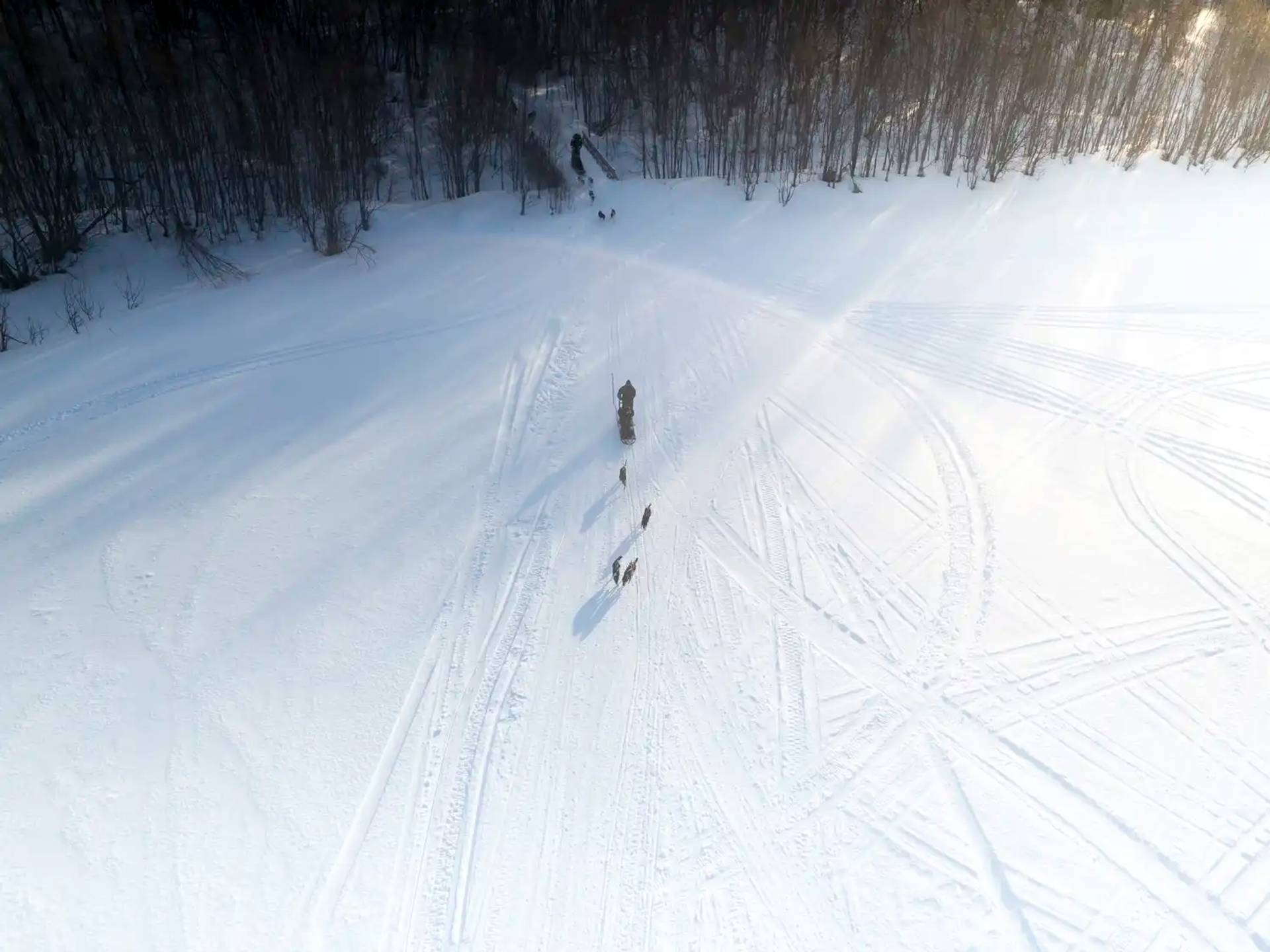 Dog Sledding Adventure – 3