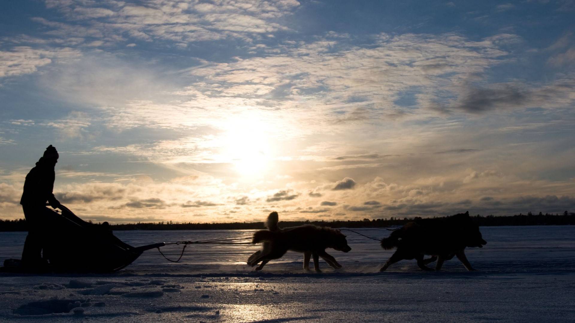 5-Day Arctic Dogsledding Tour – 4