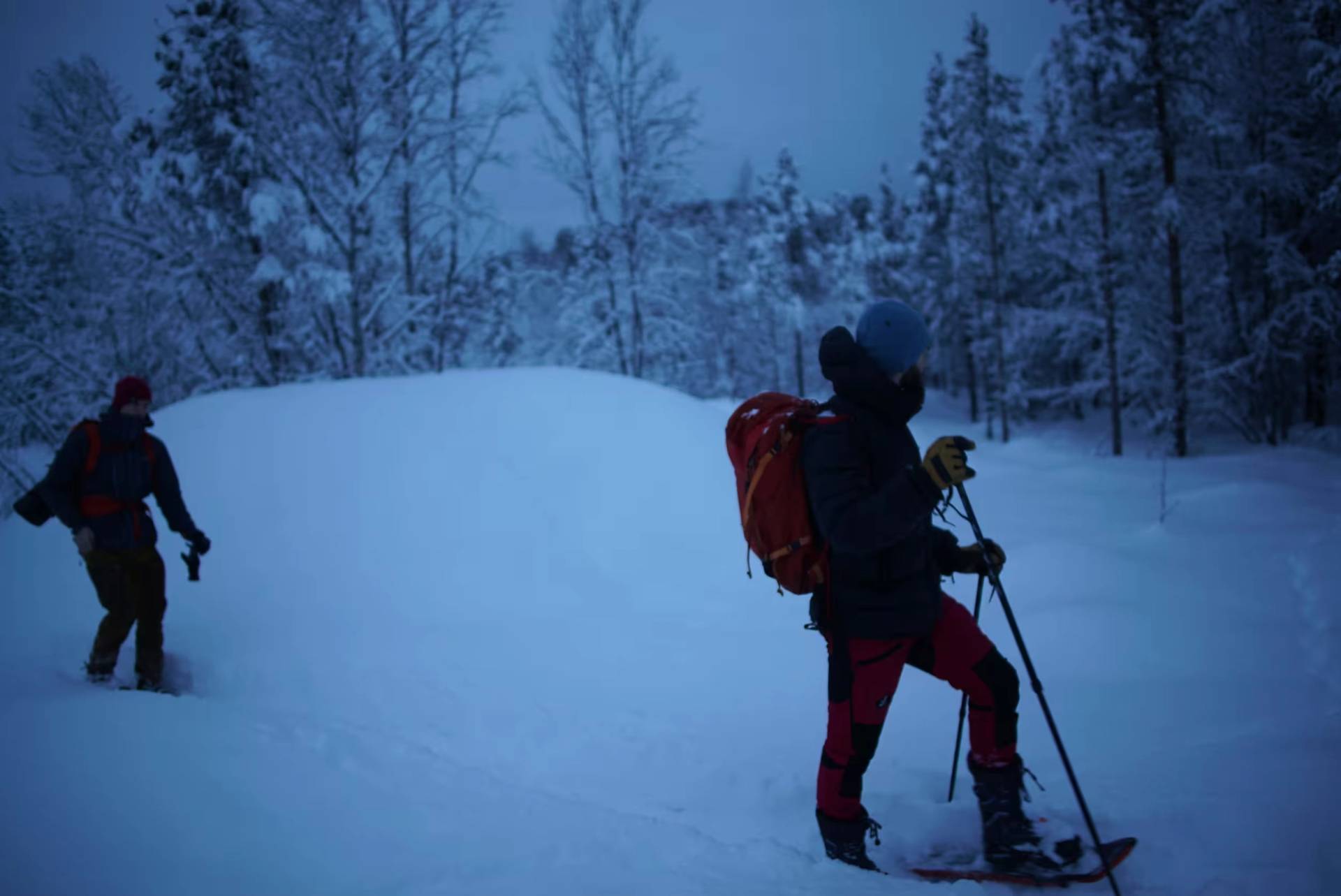 Snowshoes On. Lights Out.