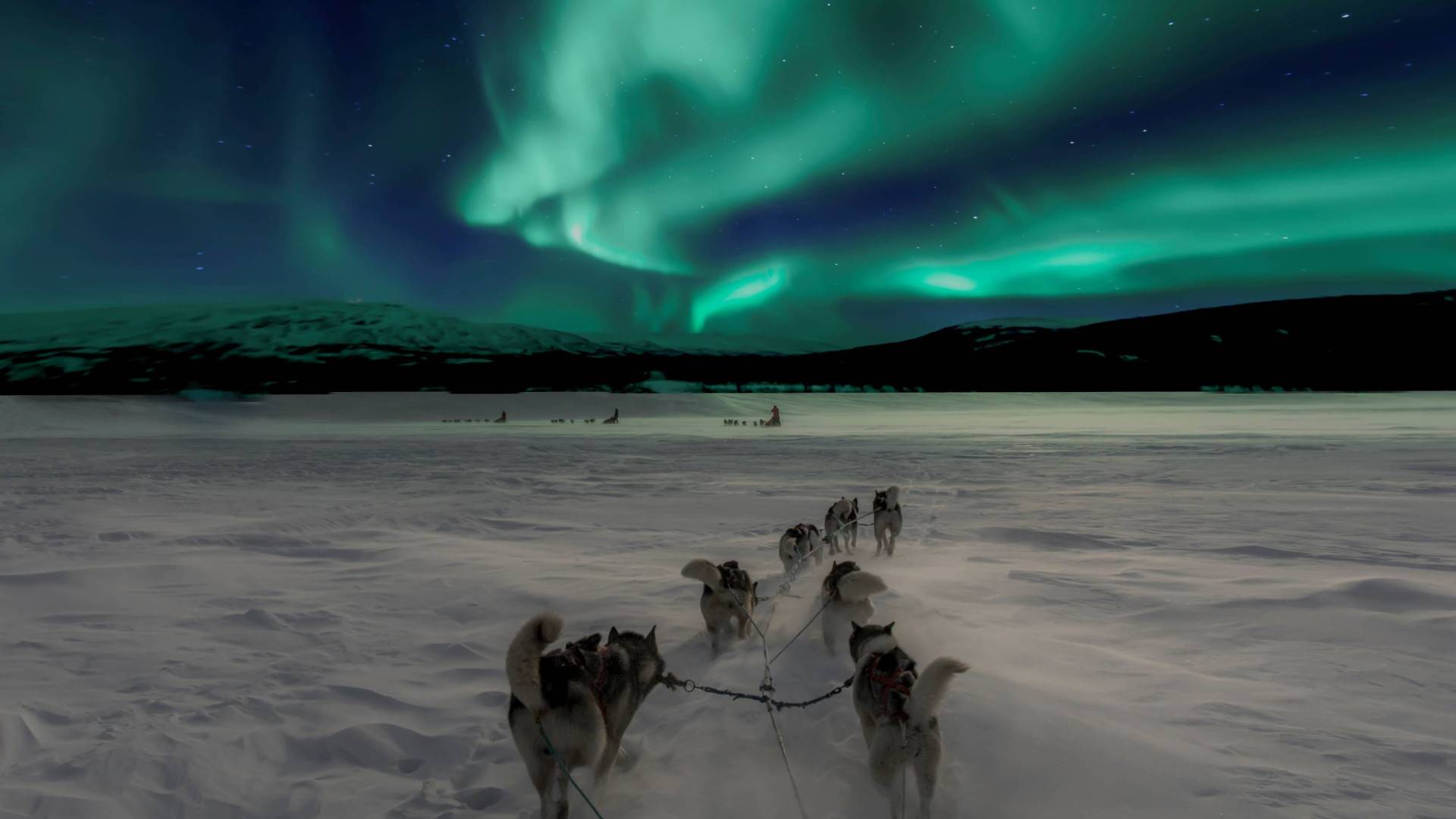 Dog Sledding under the Northern Light – 2