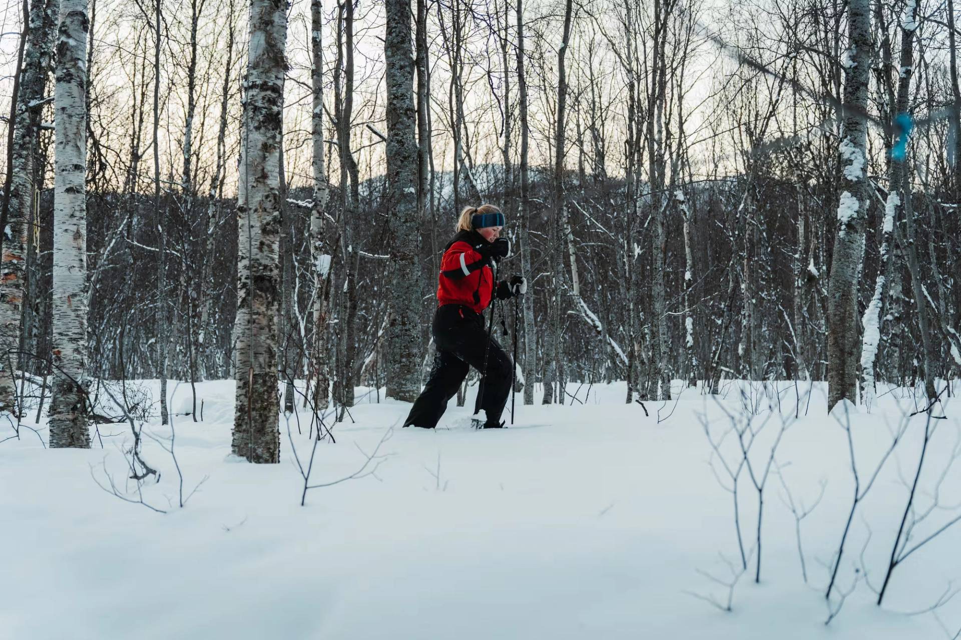 Easy Snowshoe Adventure – 2