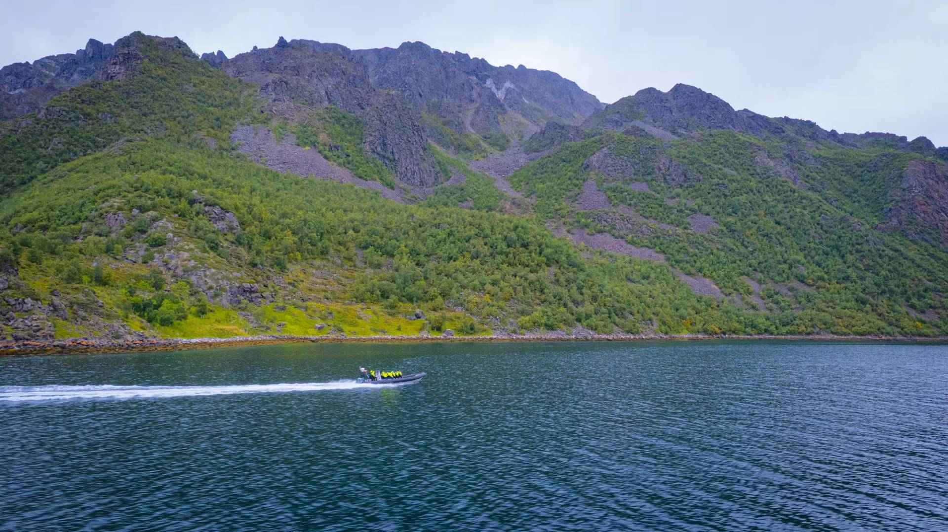 RIB Expeditions