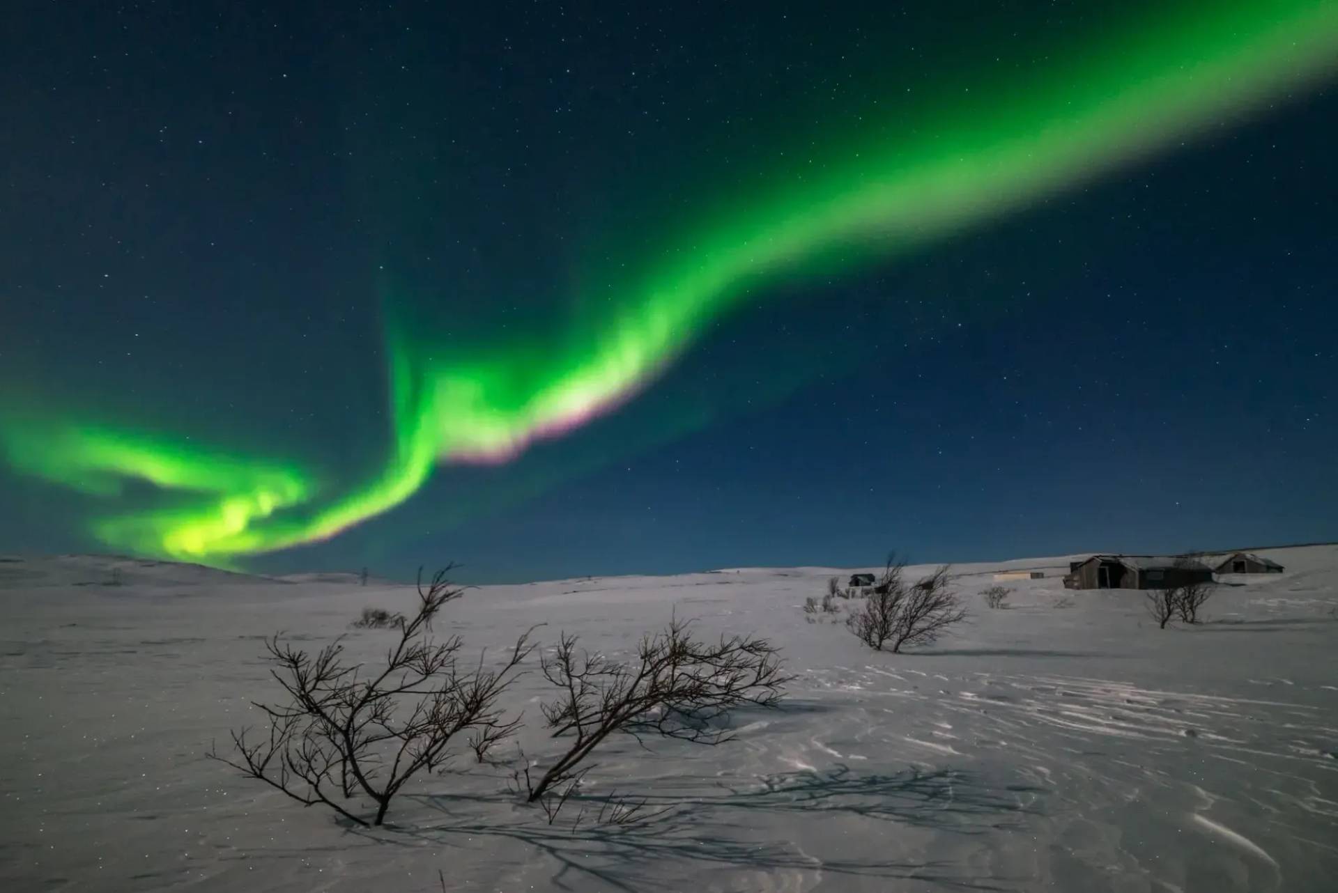 Chase the Northern Lights Tonight!