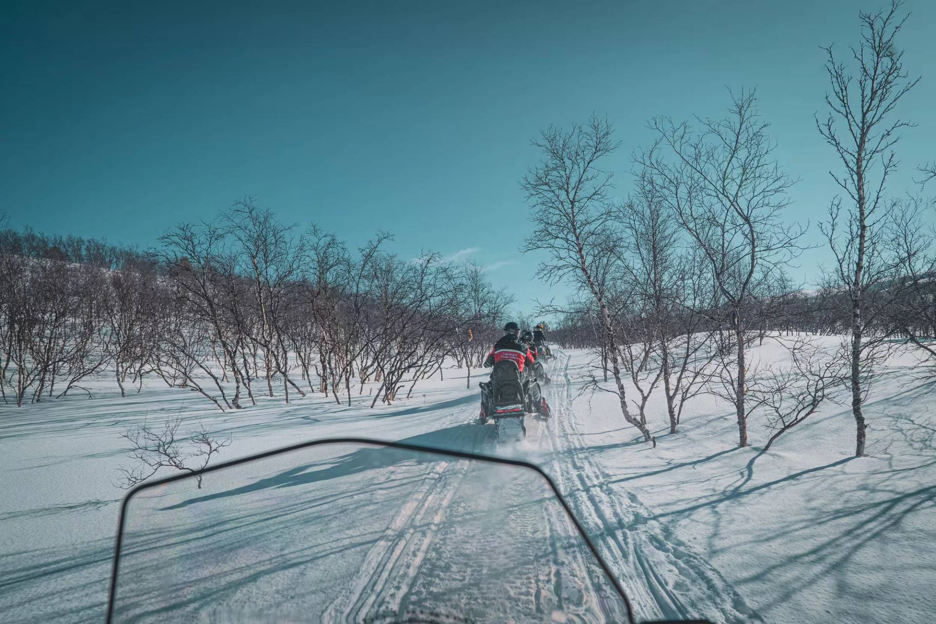 Master Arctic Terrain!