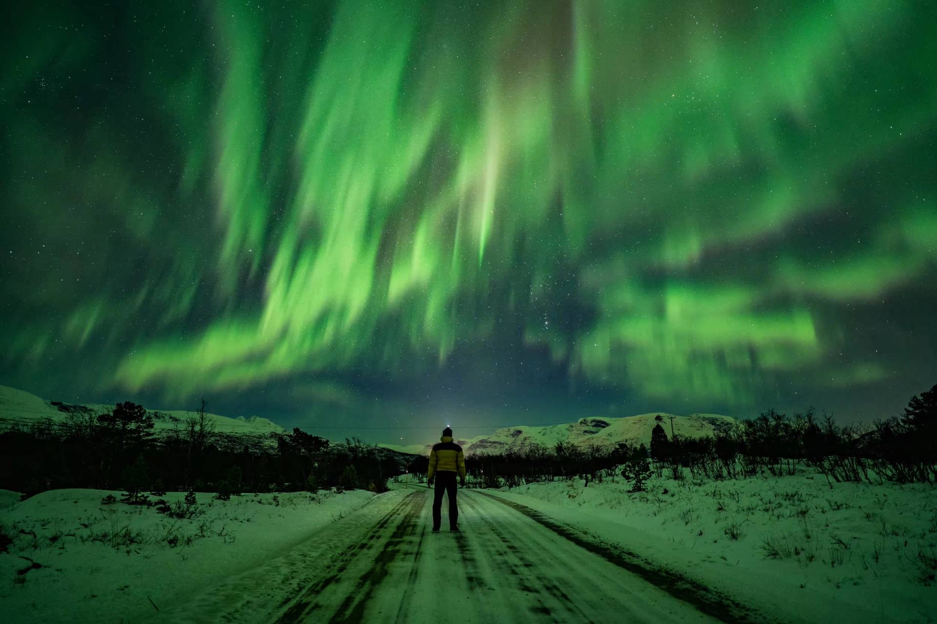 Private Northern Lights Hunt