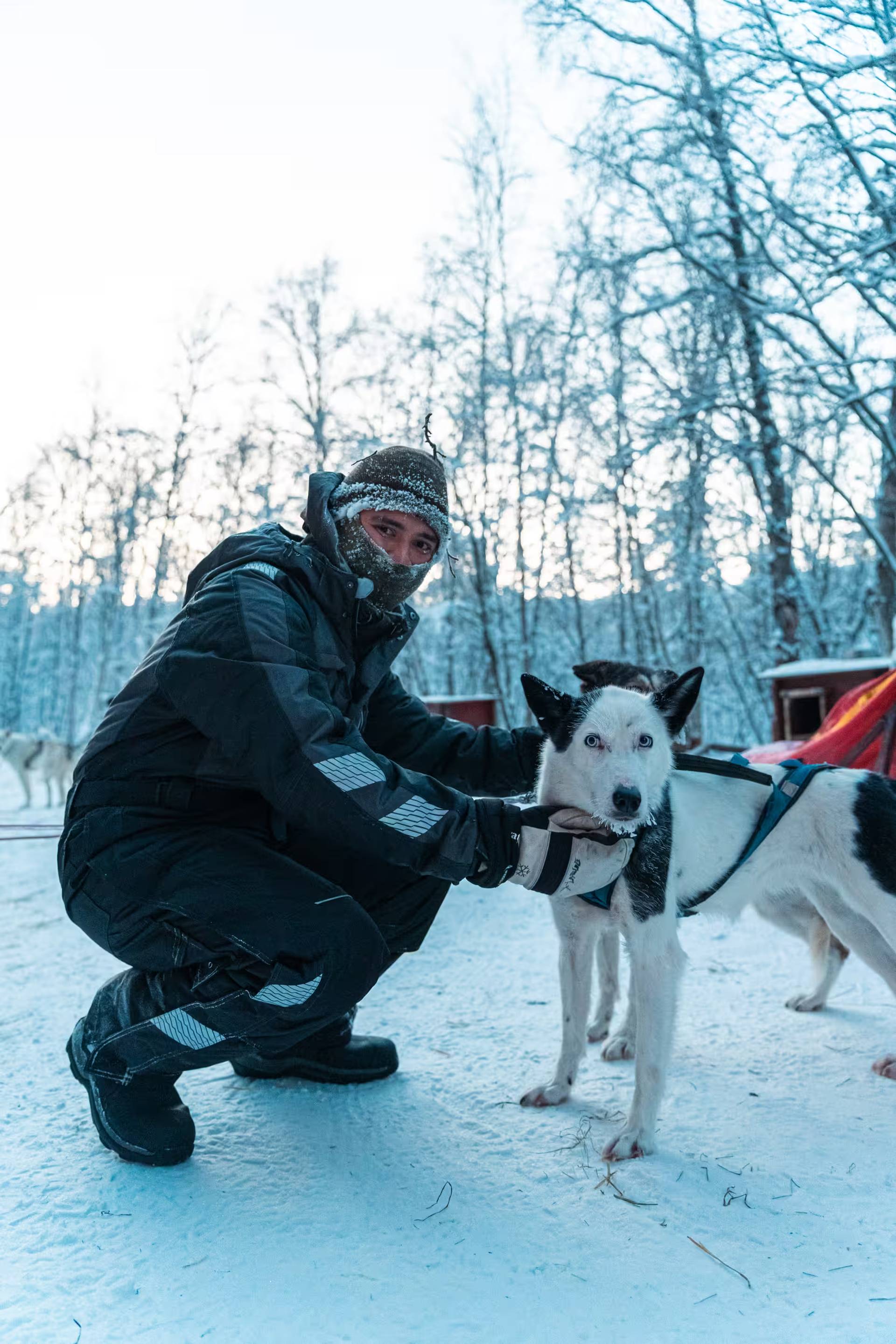 Meet the Pack