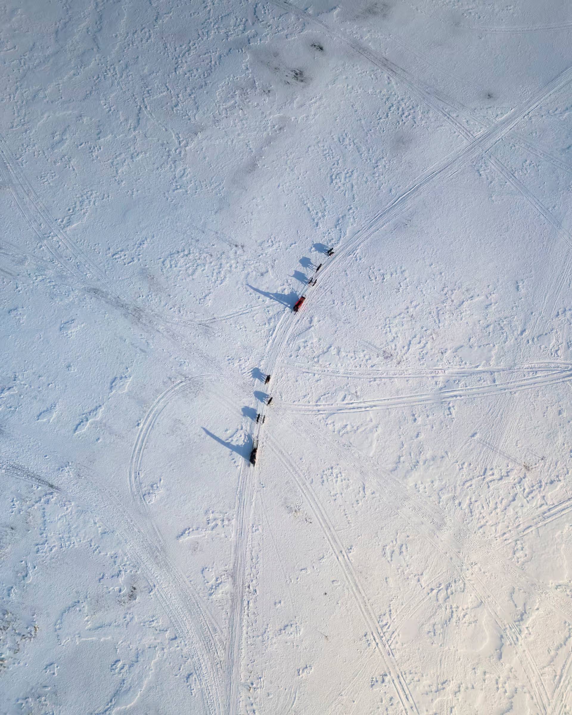 Follow the Historic Postal Route by Dog Sled!