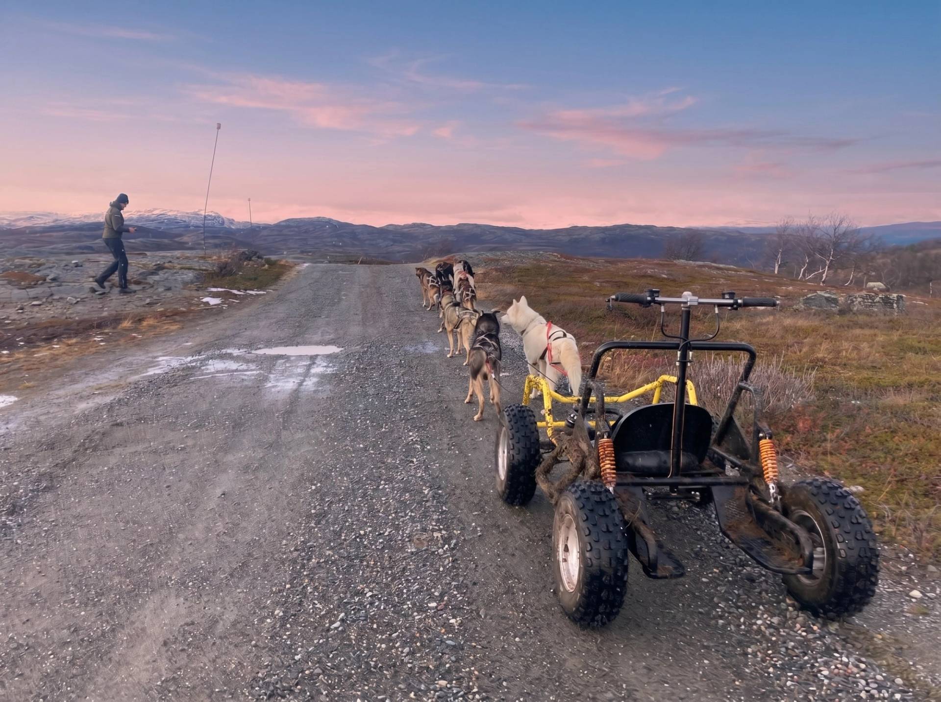 Husky Wagon Adventure 