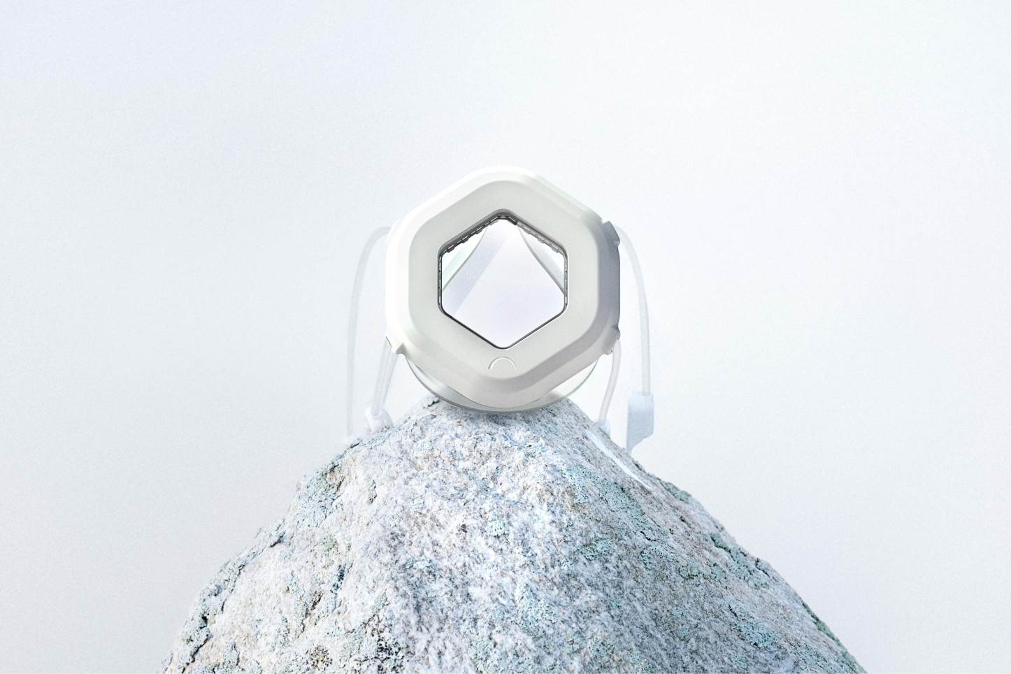canopy mask sitting on a rock with white background